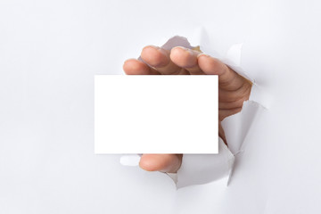 Fototapeta premium Hand holds white card through white torn paper background