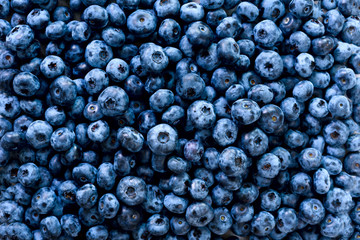 Fototapeta na wymiar Macro texture of blueberry berries close up. Border design. Summer, vitamin, vegan, vegetarian concept. Healthy food. Fresh blueberries background with copy space for your text