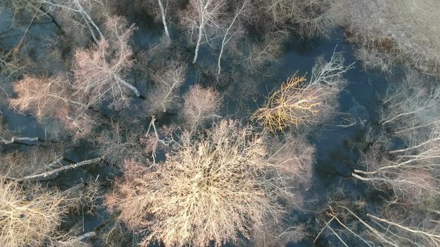 Drone camera roating over early spring forest with flood water