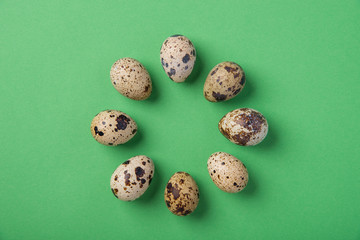 Beautiful spotted fresh quail eggs on a green paper background