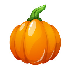Cartoon pumpkin illustration on the white background. Vector eps 10