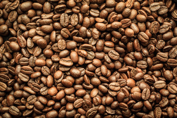 coffee bean background