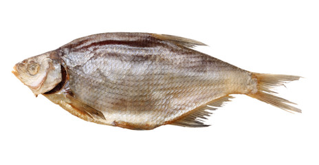 dried fish isolated on white background. Beer brewery concept. Beer background