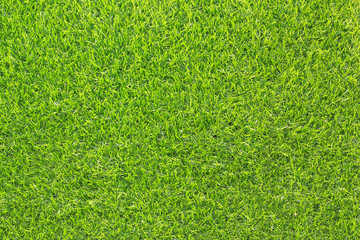 grass texture for background