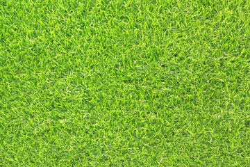 grass texture for background