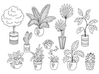 Home plants flower graphic black white isolated sketch set illustration vector