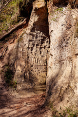 Obraz premium Latvia Deep in the forest between the trees, the Mars chamber is in the clay land