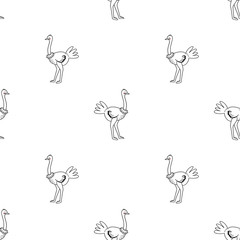 Ostrich vector pattern