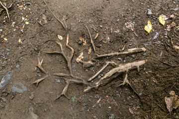 Tongariro alpine crossing, New Zealand