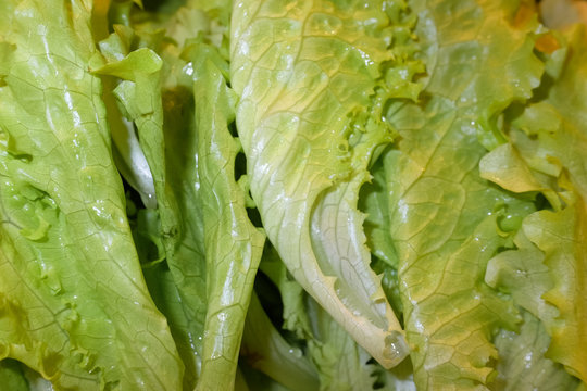 Vegetable salad 