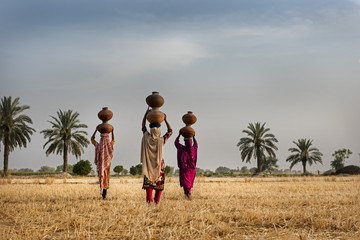 water carrier women with mud made pitchers in rural Punjab near palm trees   - obrazy, fototapety, plakaty