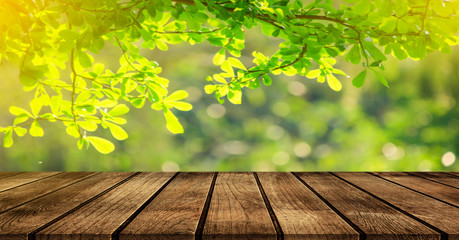 Wood floor with blurred trees of nature park background and summer season, product display montage 