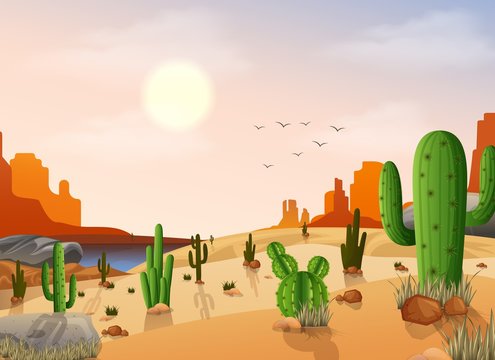 Desert landscape with cactus on the sunset background