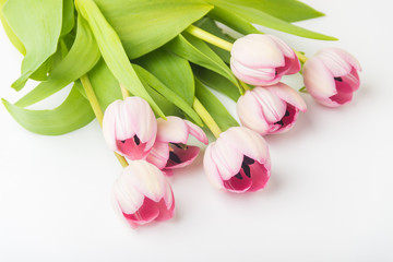Pink flowers on a white background © Alex Zegrachov