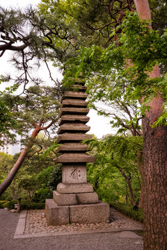 Tokyo bonsai and japanese park.