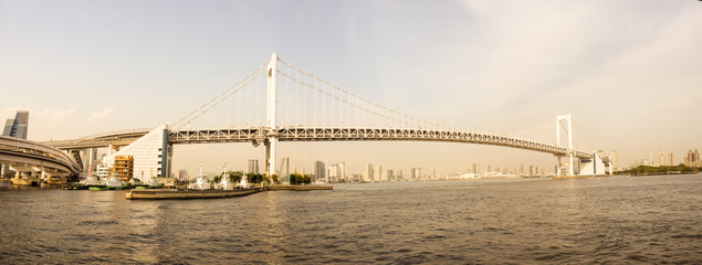 Fototapeta premium Tokyo city, Japan.