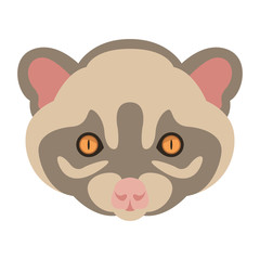 musang head   face vector illustration flat style  front