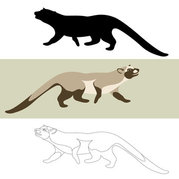 musang vector illustration flat style black silhouette