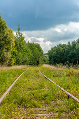 stare tory kolejowe w lesie