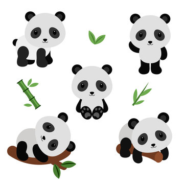 Adorable pandas in flat style.