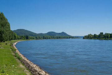 Fototapeta na wymiar Rheinufer am Bonner Bogen