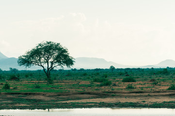 minimalistische Landschaft Afrika