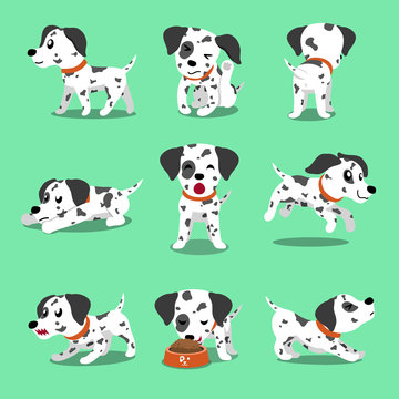 Vector cartoon character dalmatian dog poses