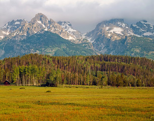 Fototapeta premium Grand Teton, Wyoming