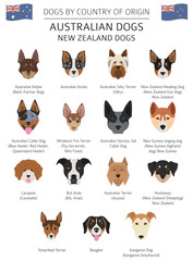 Dogs by country of origin. Australian dog breeds, New Zealand dogs. Infographic template