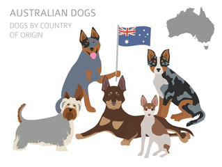 Dogs by country of origin. Australian dog breeds, New Zealand dogs. Infographic template