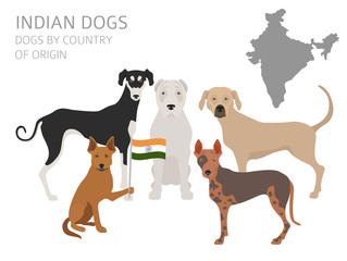 Dogs by country of origin. Indian dog breeds. Infographic template