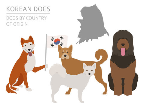 Dogs by country of origin. Korean dog breeds. Infographic template