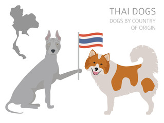 Dogs by country of origin. Thai dog breeds. Infographic template