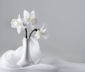 Bouquet of white narcissus flowers in a vase surrounded by white piece of veil fabric on light grey background. Wedding invitation card or present card.