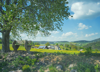 Fototapete bei efototapeten.de bestellen   