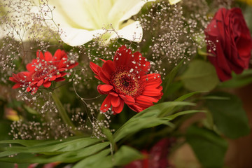 Floral arrangement