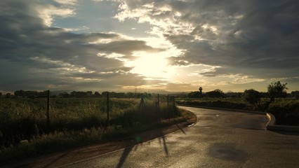 SAMSUNG CAMERA PICTURES © Pedro