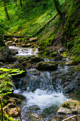 Schwarze Achen Hochfelln