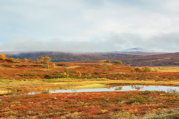 Fall in the Forollhogda National Park