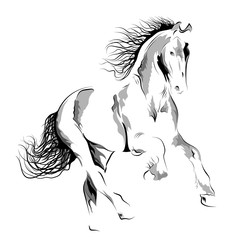 Silhouette of a running horse. Vector Image