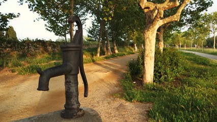 SAMSUNG CAMERA PICTURES © Pedro