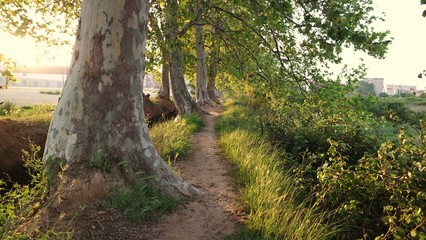 Obraz premium SAMSUNG CAMERA PICTURES