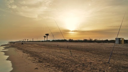 SAMSUNG CAMERA PICTURES © Pedro