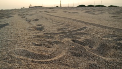 SAMSUNG CAMERA PICTURES © Pedro