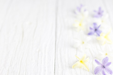 Colorful flowers are a white wooden table.