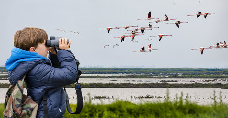 Fototapeta premium Obserwowanie ptaków młodych dzieci