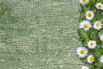 White flowers with white-green worn planks backgrounds. Flowers in side arrangement
