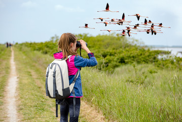 Naklejka premium Młoda dziewczyna obserwowanie ptaków