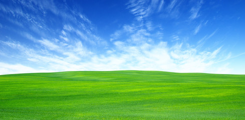  field and sky