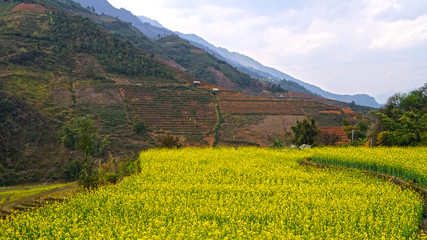vietnamese agriculture